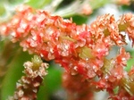 szk070728 002.01.jpg