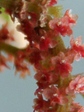 szk070728 004.01.jpg
