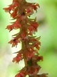 szk070728 006.01.jpg