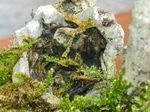 szk070802 007.01.jpg