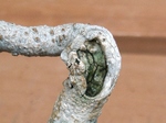 szk070804 007.01.jpg