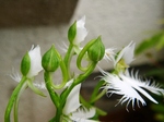 szk070806 003.01.jpg