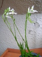 szk070806 004.01.jpg