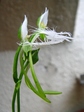 szk070806 005.01.jpg