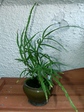 szk070809 002.01.jpg