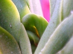 szk070813 012.01.jpg