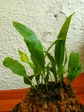 szk070815 017.01.jpg