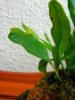 szk070815 019.01.jpg