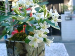 szk070818 008.01.jpg