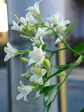 szk070818 015.01.jpg