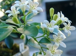 szk070818 017.01.jpg