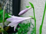 szk070821 011.01.jpg