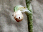 szk070826 002.01.jpg