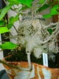 szk070831 007.01.jpg
