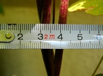 szk070902 005.01.jpg