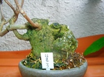 szk070903 013.01.jpg