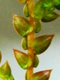 szk070904 012.01.jpg