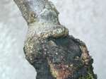 szk070905 008.01.jpg