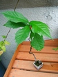 szk070910 006.01.jpg