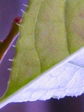 szk070913 006.01.jpg