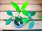 szk070914 012.01.jpg