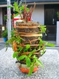 szk070917 008.01.jpg
