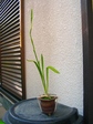 szk070919 004.01.jpg