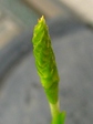 szk070919 008.01.jpg