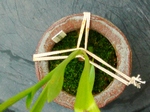 szk070919 009.01.jpg