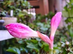 szk070919 012.01.jpg