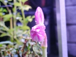 szk070919 018.01.jpg