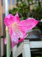 szk070922 012.01.jpg