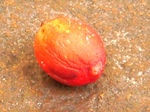 szk070923 002.01.jpg