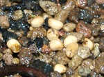 szk070924 004.01.jpg