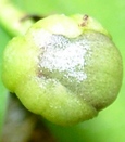 szk070927 010.01.jpg