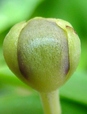 szk070927 011.01.jpg