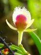 szk070928 012.01.jpg