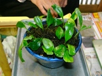 szk070930 007.01.jpg