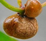 szk070930 013.01.jpg