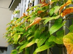 szk070930 014.01.jpg