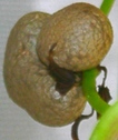szk070930 015.01.jpg