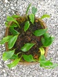 szk070930 024.01.jpg