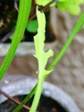 szk071005 012.01.jpg