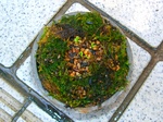 szk071007 008.01.jpg