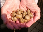 szk071007 009.01.jpg
