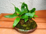 szk071007 026.01.jpg