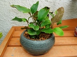 szk071007 032.01.jpg