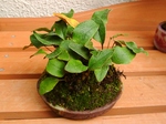szk071007 037.01.jpg