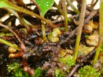 szk071007 041.01.jpg