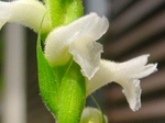 szk071013 003.01.jpg